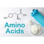 Amino Actid