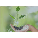 Agricultural Chemicals