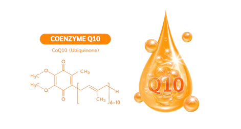 Enzyme