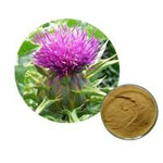 Plant Extract