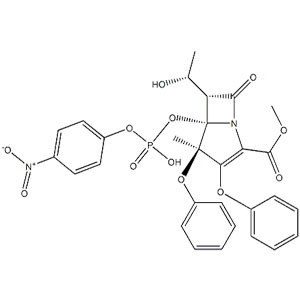 Protease K CAS 39450-01-6